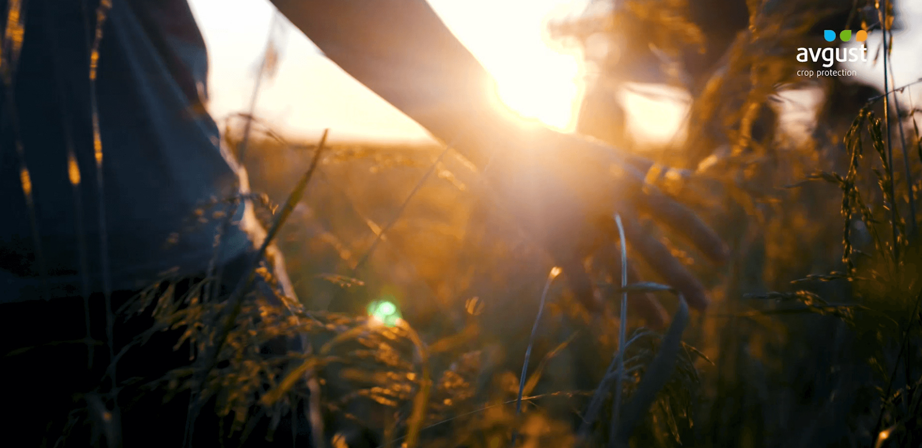 Agroproject